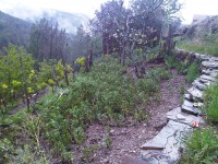 /album/fotogallerij-huis-2/img-20120423-00376-jpg/